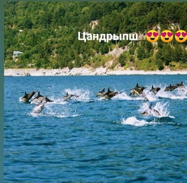 Comfort Цандрипш Екстериор снимка